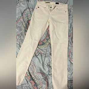 Adriano Goldschmied Pants- New With Tags